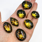 Cherry Amber Engraved Roses Oval Shape Cabochons